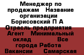 Менеджер по продажам › Название организации ­ Борисовский П.А. › Отрасль предприятия ­ Агент › Минимальный оклад ­ 25 000 - Все города Работа » Вакансии   . Самарская обл.,Новокуйбышевск г.